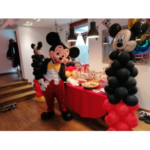 Θεματικές Στήλες Μπαλονιών Μίκυ και Μίνι σε αλουμίνιο για εσωτερικό και εξωτερικό χώρο