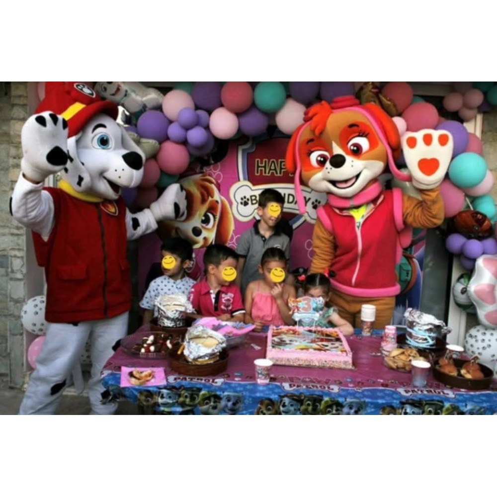  School Party με θέμα Σκάι