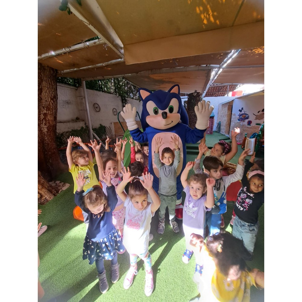  School Party με θέμα Σονικ