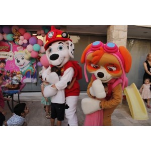  School Party με θέμα Σκαι και Μαρσαλ