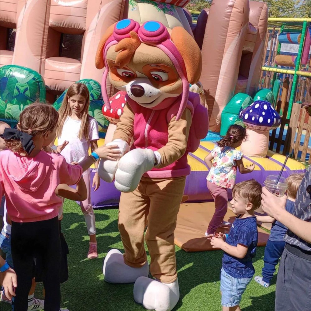  School Party με θέμα Σκάι