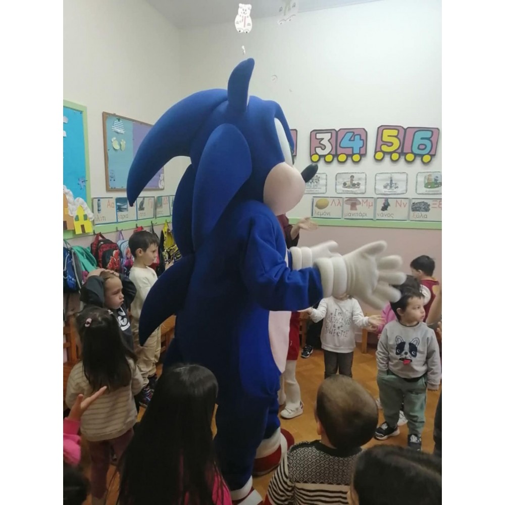  School Party με θέμα Σονικ