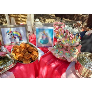 Θεματικό Salty/Candy bar Silver Μονοκερος (100 καλεσμένοι) 