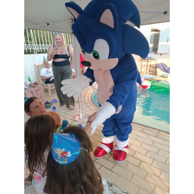 Πρόγραμμα Μασκώτ Σονικ-Facepainting  1,5h (1-5ετών) 