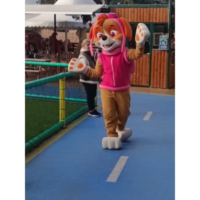 Πρόγραμμα Μασκώτ Σκάι-Facepainting  1,5h (1-5ετών) 