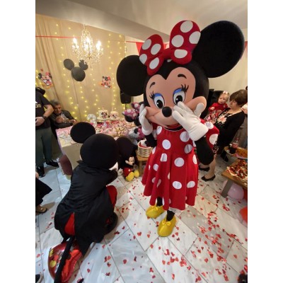 Πρόγραμμα Μασκώτ Minnie Κόκκινη -Facepainting  1,5h (1-5ετών) 