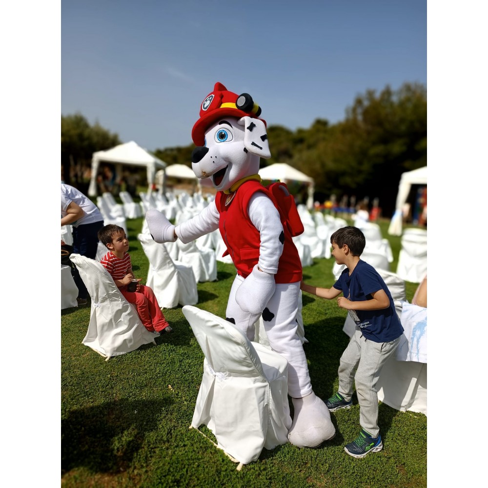 Πρόγραμμα Μασκώτ Μάρσαλ-Facepainting  1,5h (1-5ετών) 