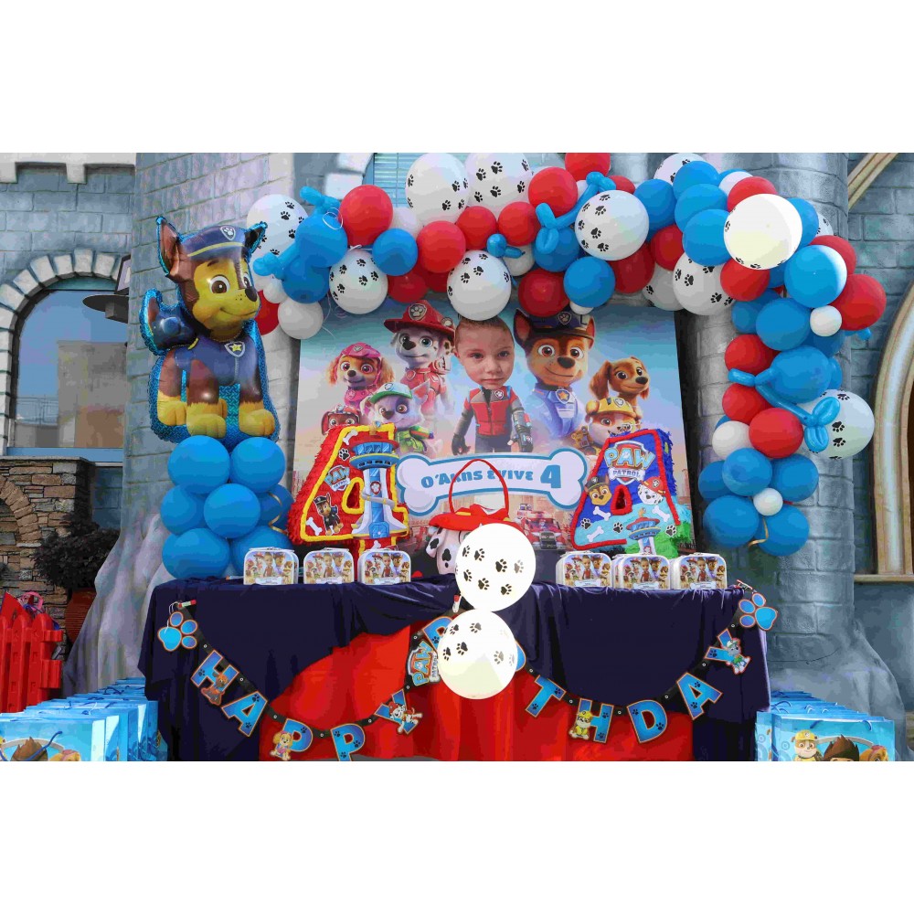 Θεματικό Candy bar Marshall Silver (30 καλεσμένους) 