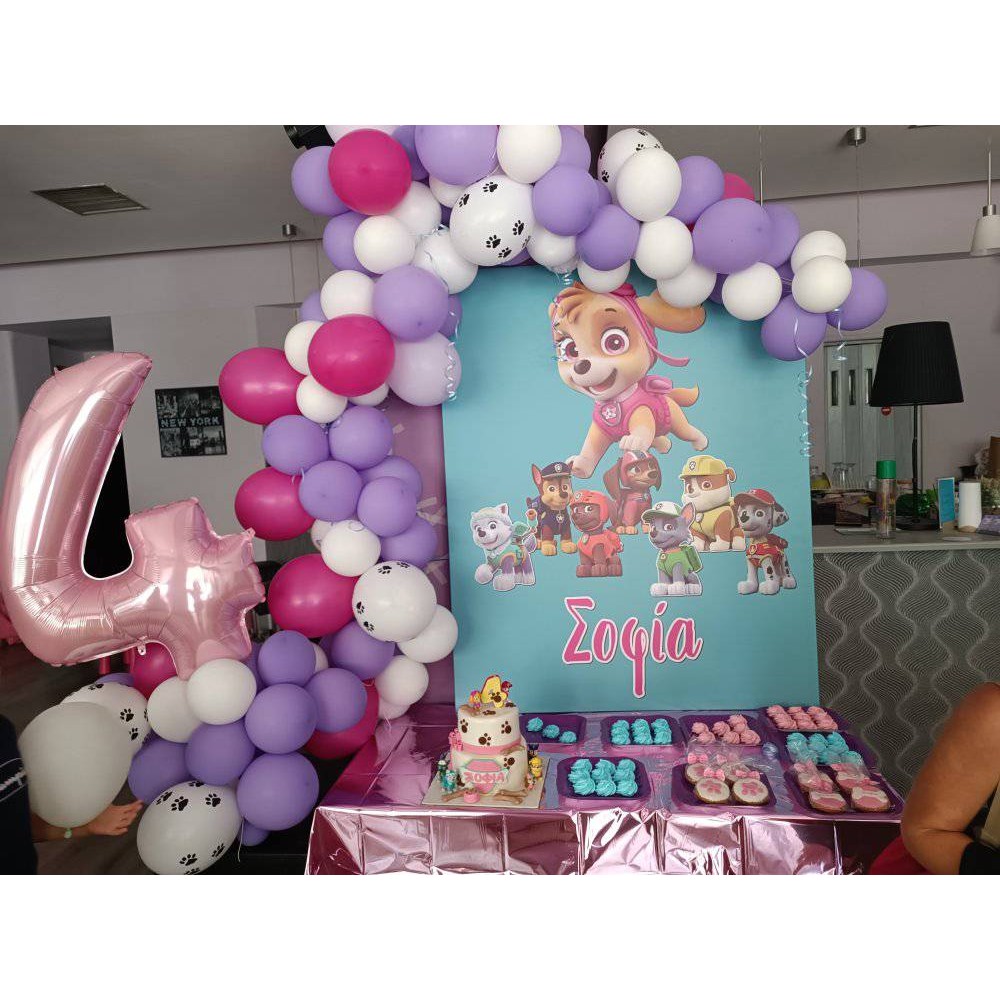 Θεματικό Candy bar Skye Silver (30 καλεσμένους) 