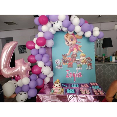 Θεματικό Candy bar Skye Silver (30 καλεσμένους) 