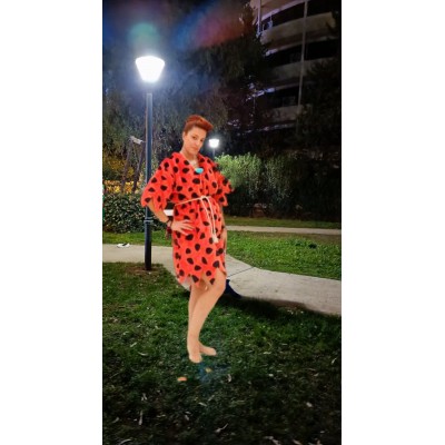 Πρόγραμμα Flintstones Character animator (2h 4-11ετών)