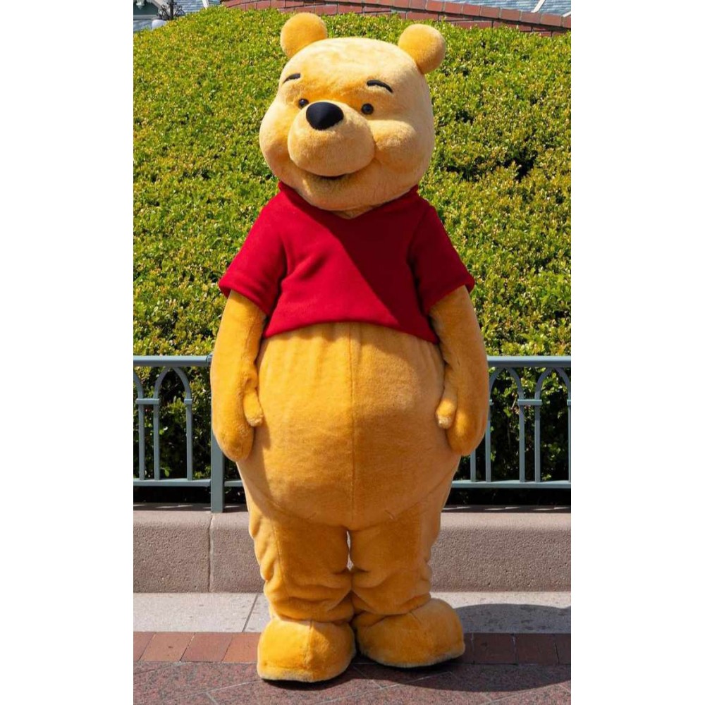 Πρόγραμμα Μασκώτ Winnie the Pooh-Facepainting  1,5h (1-5ετών) 