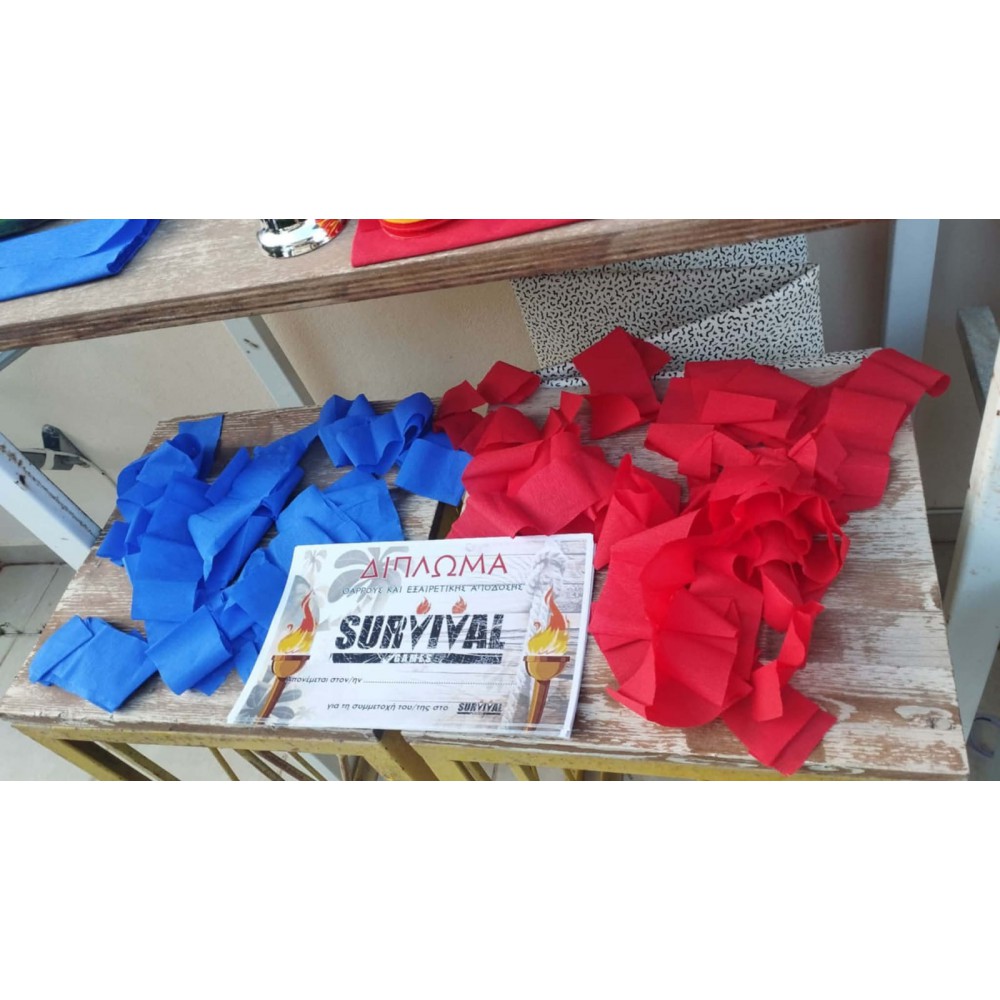 Πρόγραμμα Survivor Bronze (1,5h 4-11ετών)