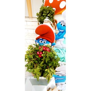 Θεματικό Πακέτο Βάπτισης Στρουμφάκια Silver 100 (προσκλητήριο, μπομπονι΄έρες, στολισμός, Candy bar και Salty bar)