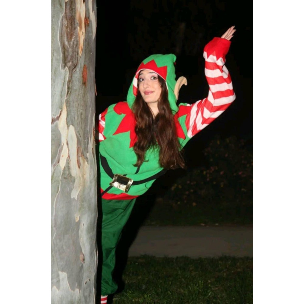 Christmas character Animator ξωτικο